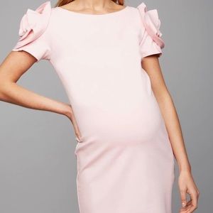 EUC Pea in the Pod Maternity Dress